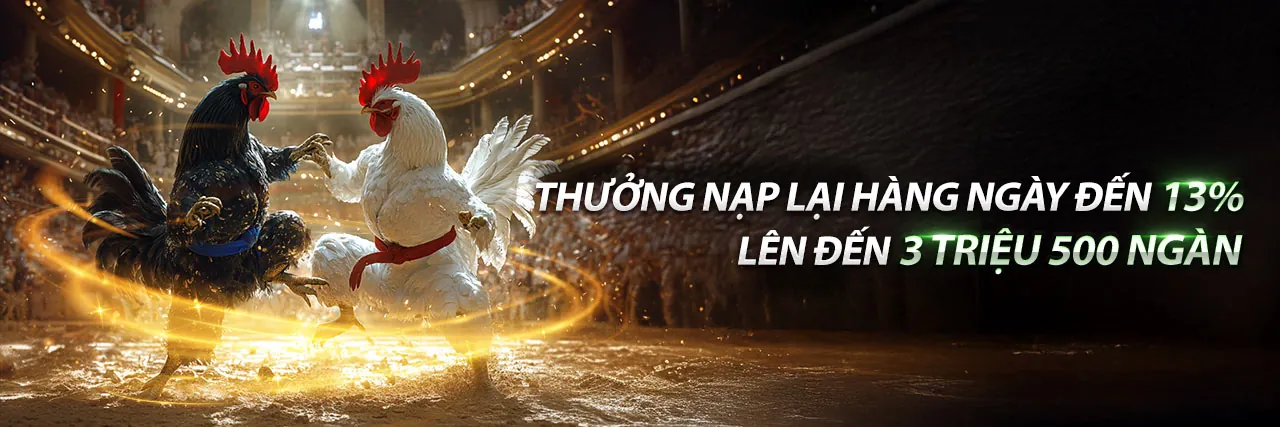 Đá Gà Trực Tuyến Hấp Dẫn tại SP8BET Win